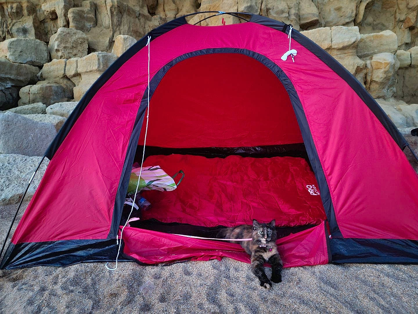 Suki is registered to the contest to win money with this photo: arch, biome, camping, comfort, ecoregion, grass, grassland, hiking_equipment, landscape, leisure, magenta, outdoor_recreation, plant, recreation, rock, shade, tarpaulin, tent, tints_and_shades, winter