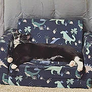 Knuckles joined the competition — help win amazing prizes! cat, black_and_white_cat, dinosaur_pattern, armchair, small_furniture, carpet, indoor, relaxed, cute, pet, feline, cozy, resting, whiskers, paws, home, animal, cute_pet, sleeping, domestic_cat