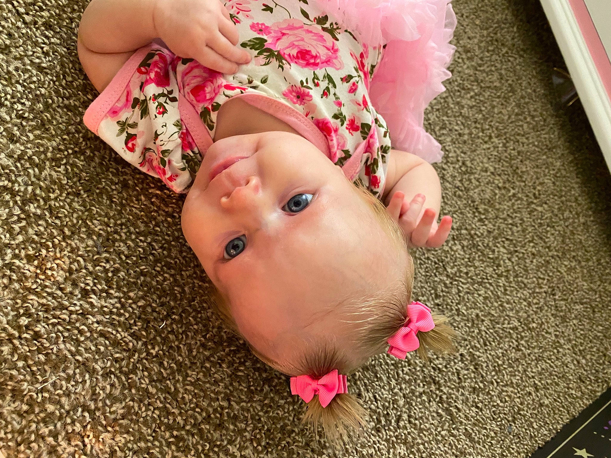 Gracie joined the competition — help win amazing prizes! baby, beauty, cheek, child, ear, face, flooring, flower, foot, hand, head, lip, mouth, person, petal, pink, plant, skin, toddler