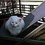 ARYA participe au concours pour gagner de l'argent avec cette photo :