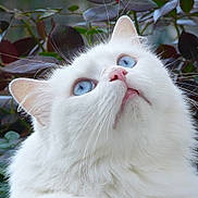 ARYA participe au concours pour gagner de l'argent avec cette photo :