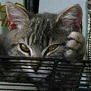 TITUS participe au concours pour gagner de l'argent avec cette photo :