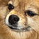 Gidget