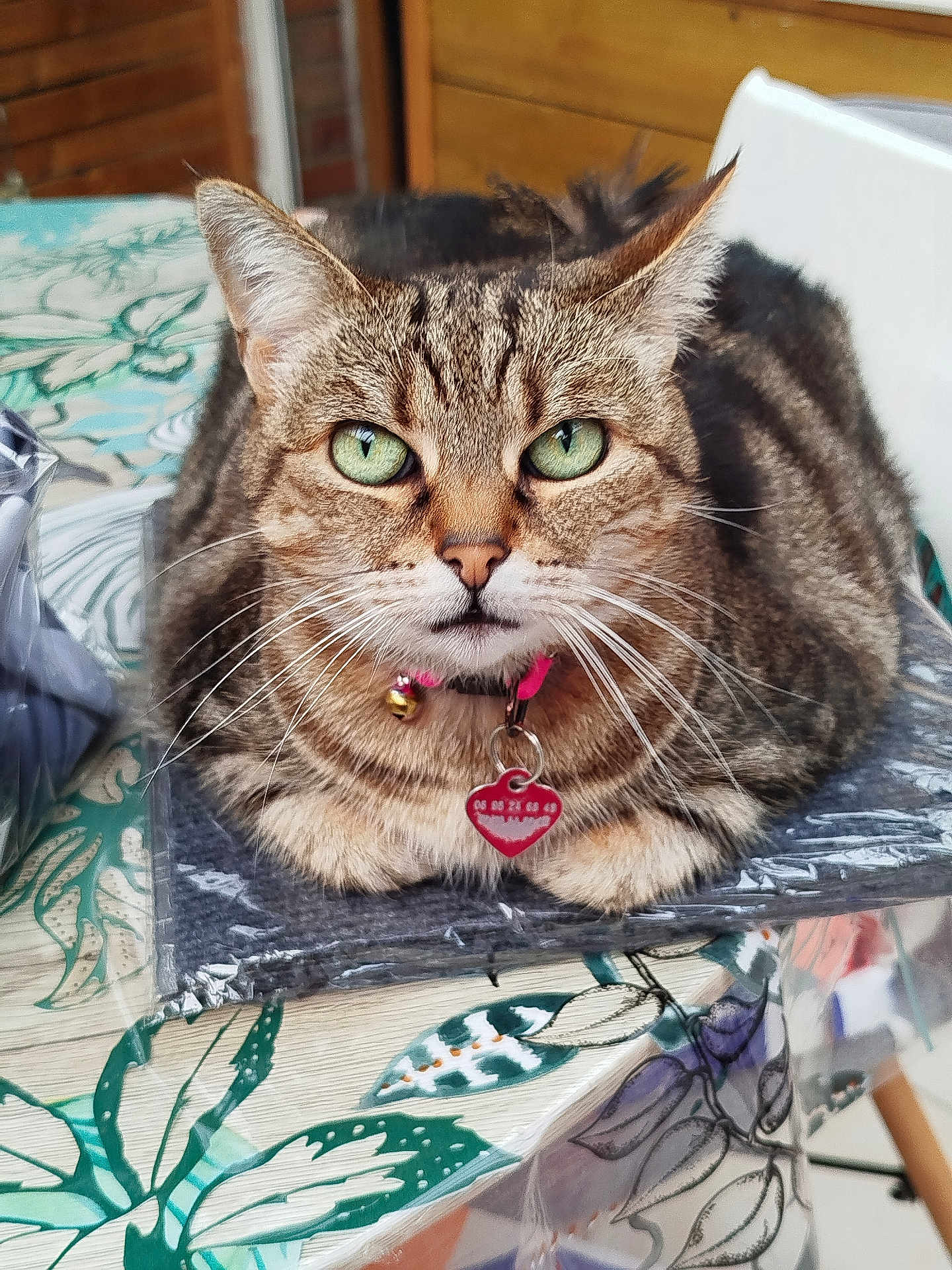 Félixe