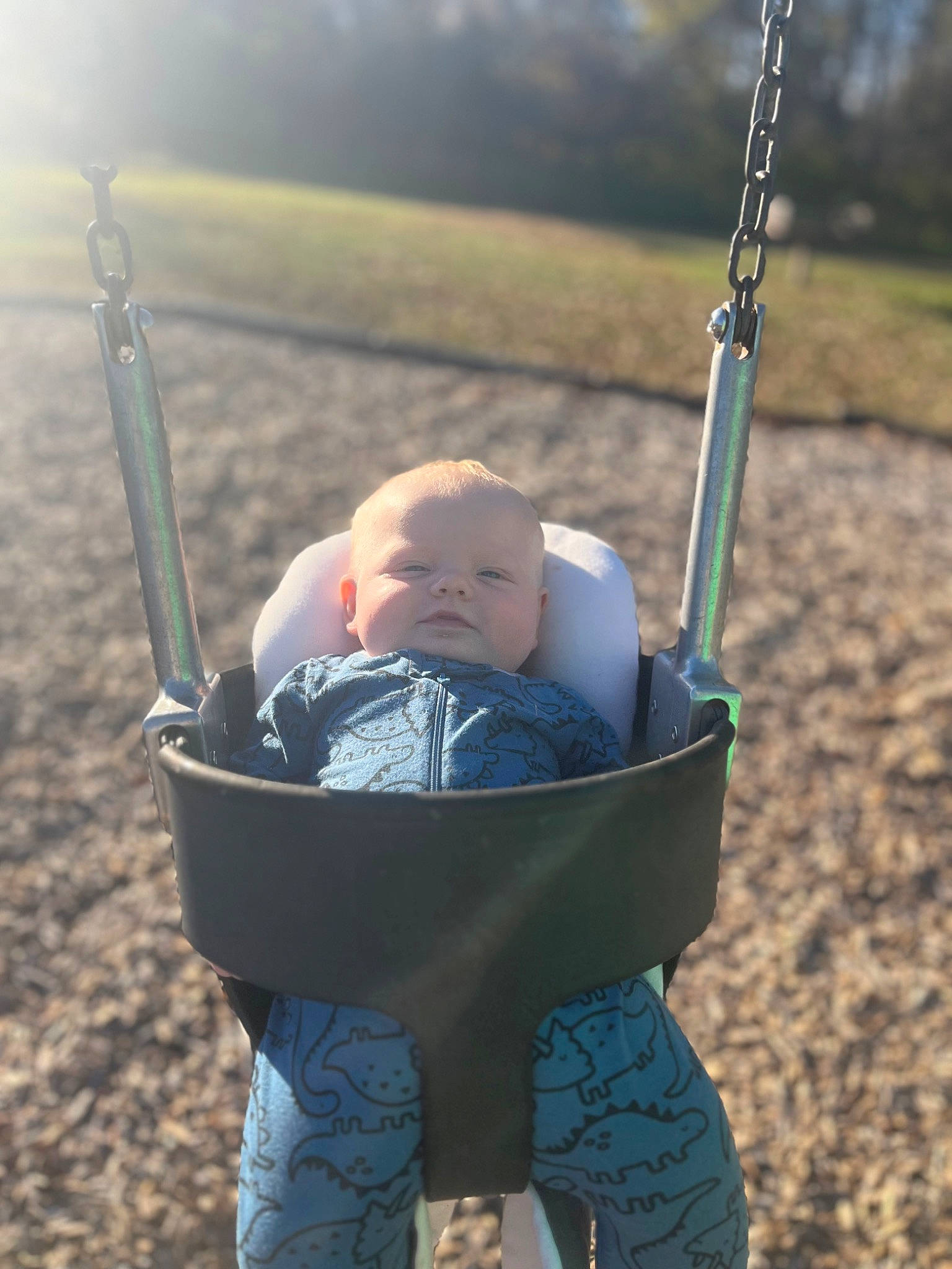 Oliver is registered to the contest to win money with this photo: arm, baby, baby_carriage, baby_toddler_clothing, city, electric_blue, fun, grass, hand, happy, human_body, leisure, people_in_nature, person, playground, product, recreation, sitting, swing, toddler