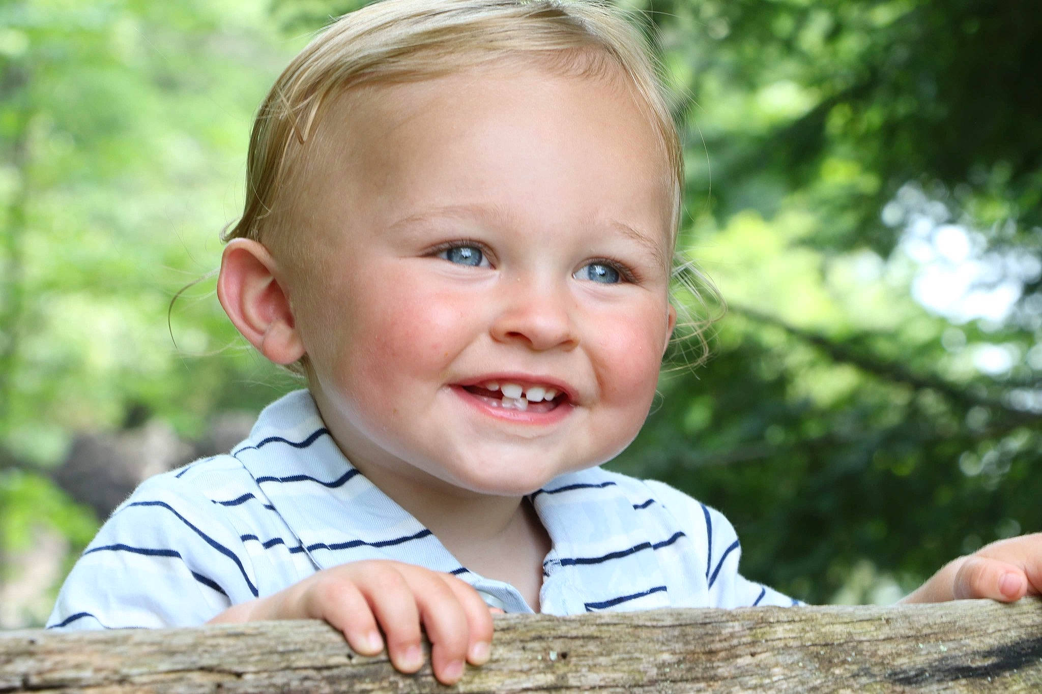Drew joined the competition — help win amazing prizes! baby, baby_toddler_clothing, blond, child, facial_expression, flash_photography, fun, gesture, grass, happy, joy, leisure, natural_landscape, people_in_nature, person, plant, sitting, smile, toddler, tree