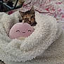 animal, bed, blanket, cat, comfort, cozy, cute, floral_pattern, furry, home, indoor, pet, pink, plush_toy, relaxed, resting, sleepy, snuggled, soft, white