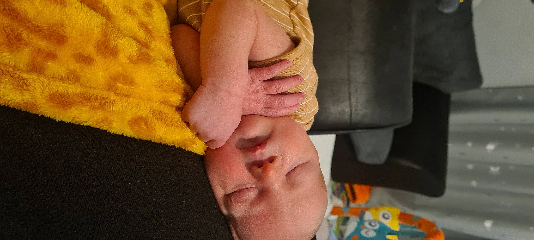 Harley is registered to the contest to win money with this photo: baby, dress, elbow, eye, face, finger, foot, gesture, head, human_body, jaw, knee, leg, nail, nose, person, thigh, thumb, toddler, window