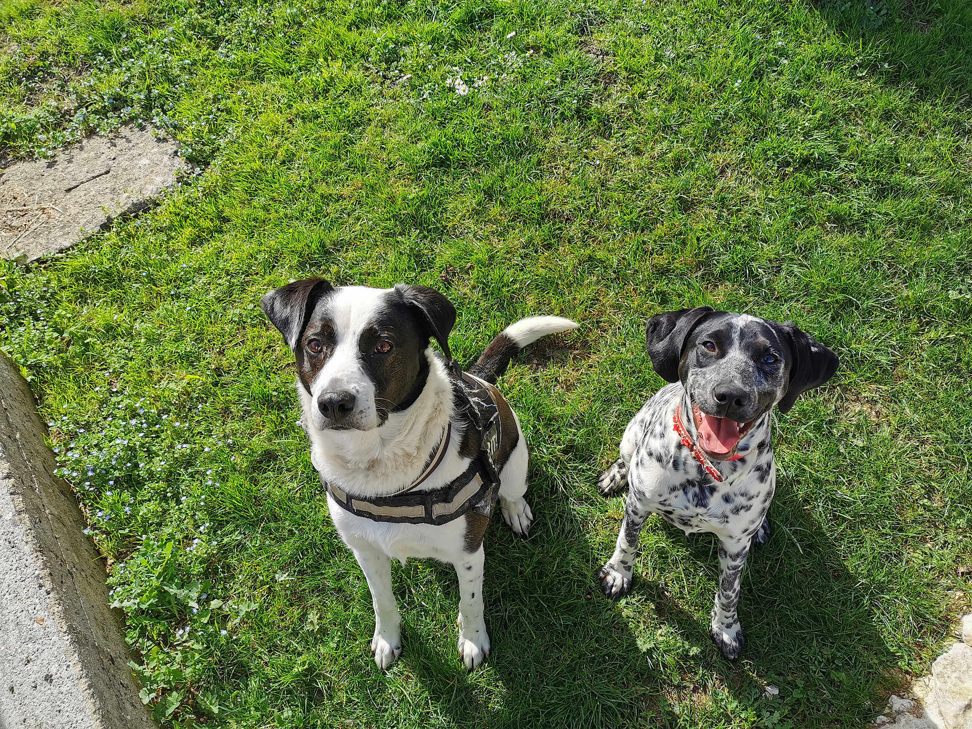 Mambo Et Rita