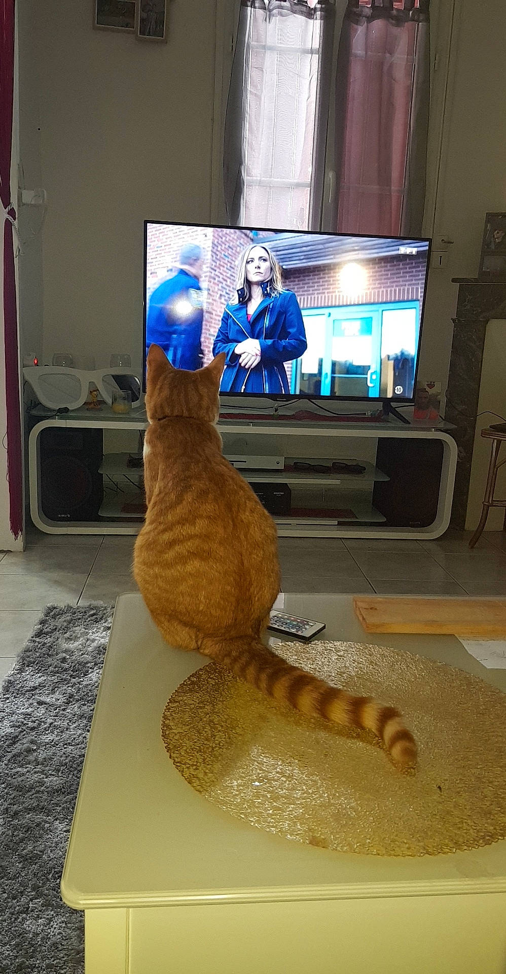 Filous participe au concours pour gagner de l'argent avec cette photo : art, person