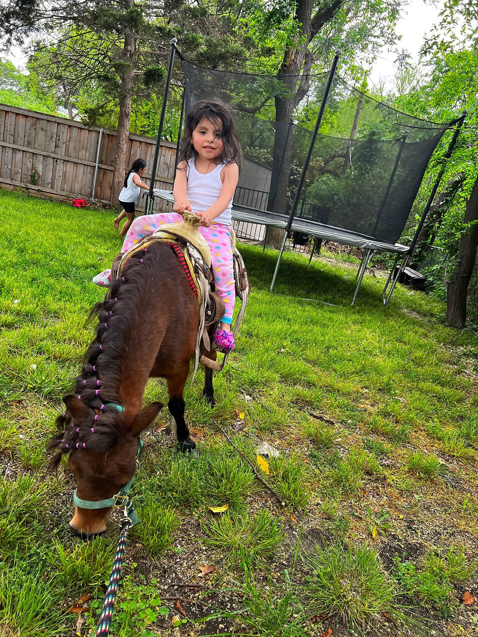Juliet is registered to the contest to win money with this photo: bridle, equestrianism, grass, grassland, horse, horse_supplies, horse_tack, landscape, leisure, livestock, pasture, people_in_nature, person, plant, recreation, rein, saddle, sky, toddler, tree