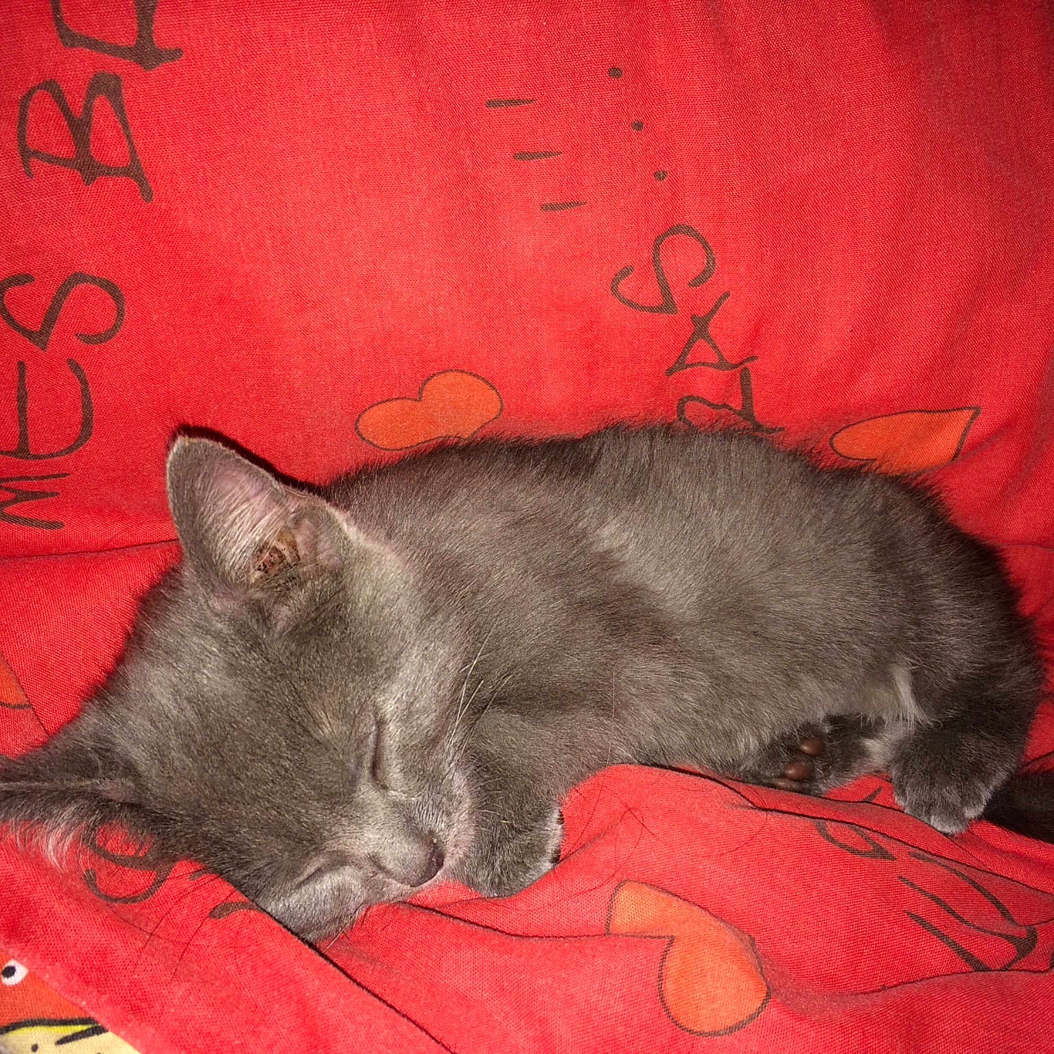 Luna