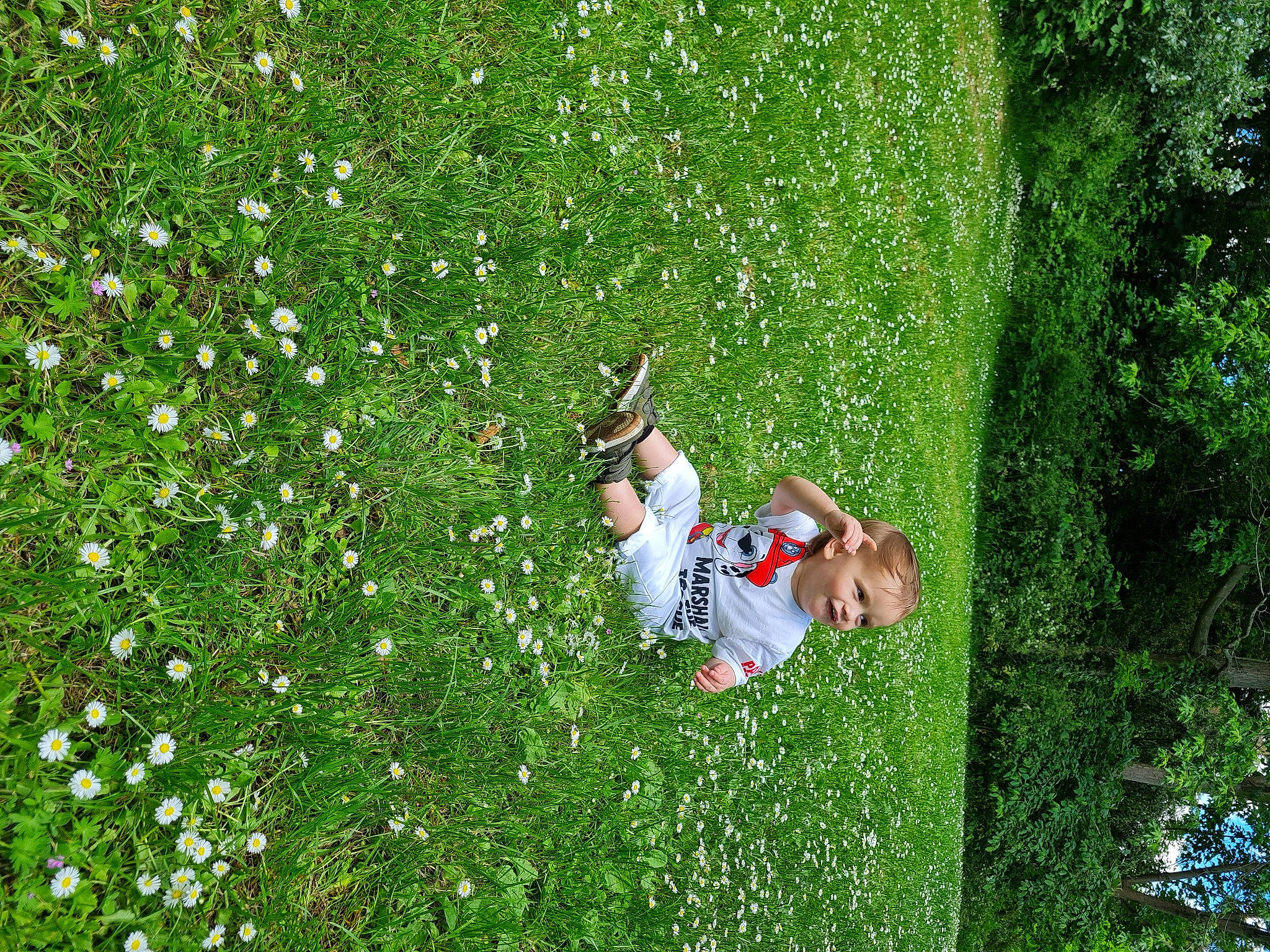 Dustin is registered to the contest to win money with this photo: botany, flower, grass, grass_family, grassland, groundcover, happy, landscape, lawn, leisure, meadow, natural_environment, natural_landscape, pasture, people_in_nature, person, petal, plant, shrub, tree