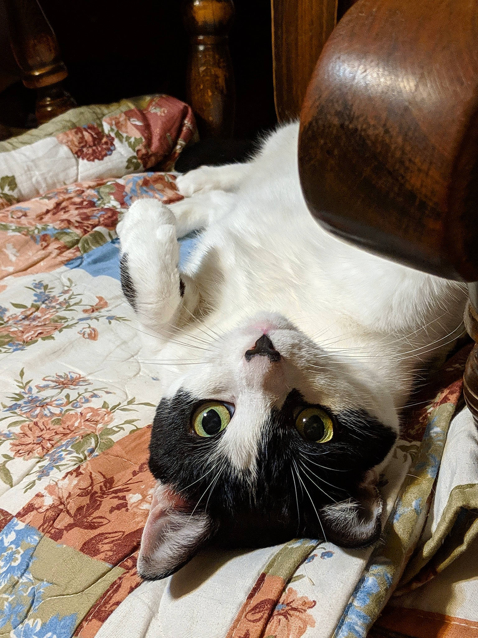 Maggie