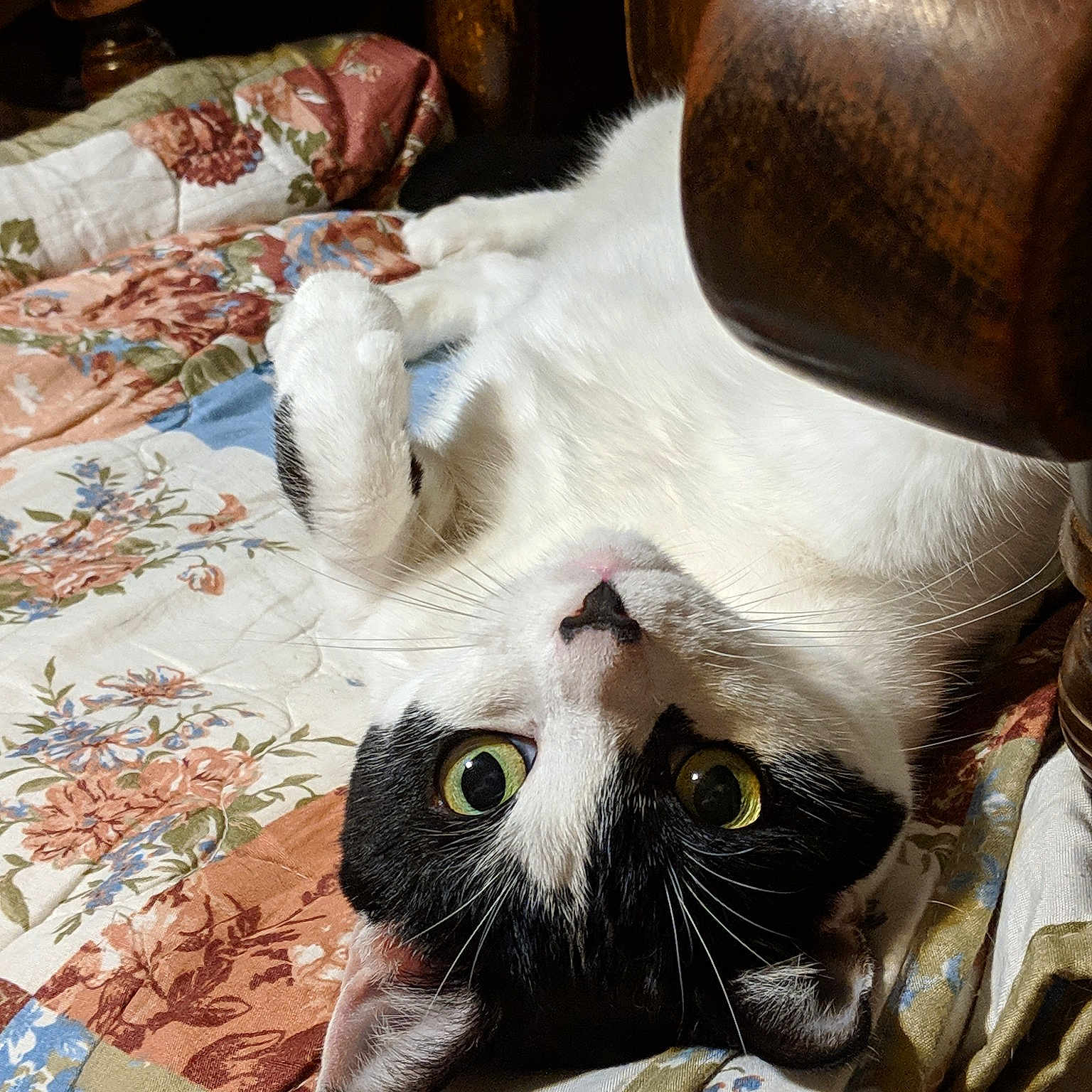 Maggie