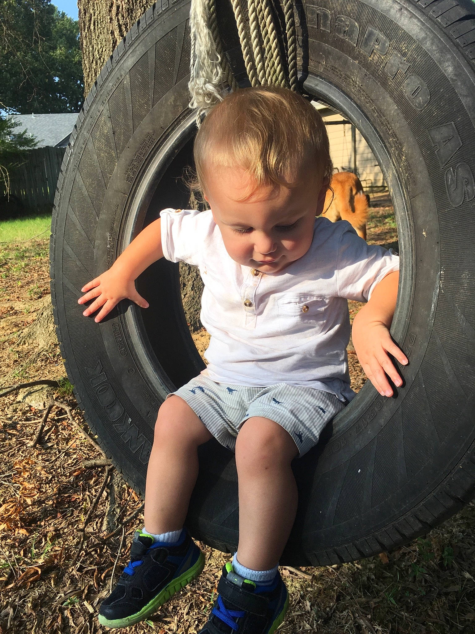 Kurt is registered to the contest to win money with this photo: arm, child, cool, emotion, fun, girl, grass, hand, happiness, joy, person, plant, play, recreation, sitting, smile, toddler, tree, vacation, vertebrate