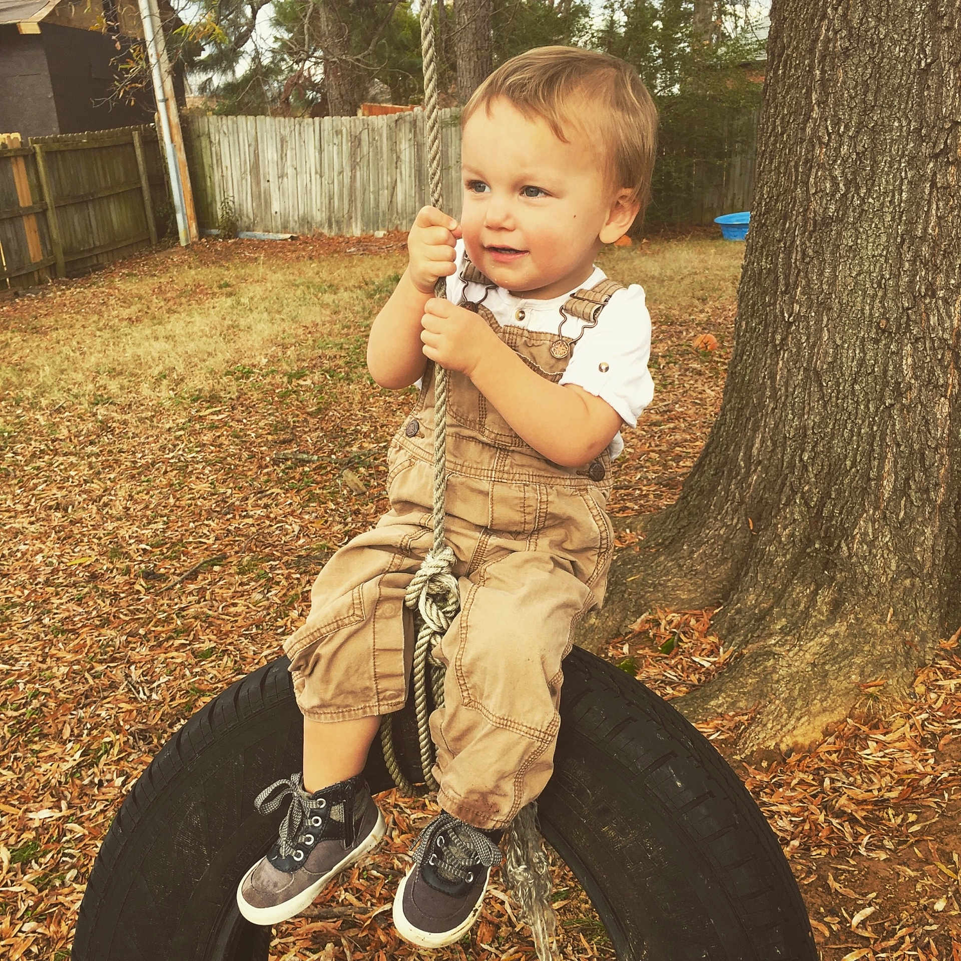 Kurt is registered to the contest to win money with this photo: boy, child, fun, girl, grass, infant, person, plant, play, recreation, sitting, soil, toddler, tree