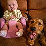 baby, child, dog, pet, couch, baby_seat, pink, brown, happy, yawning, smiling, indoor, furniture, cute, portrait, person, animal, canine, home, cozy