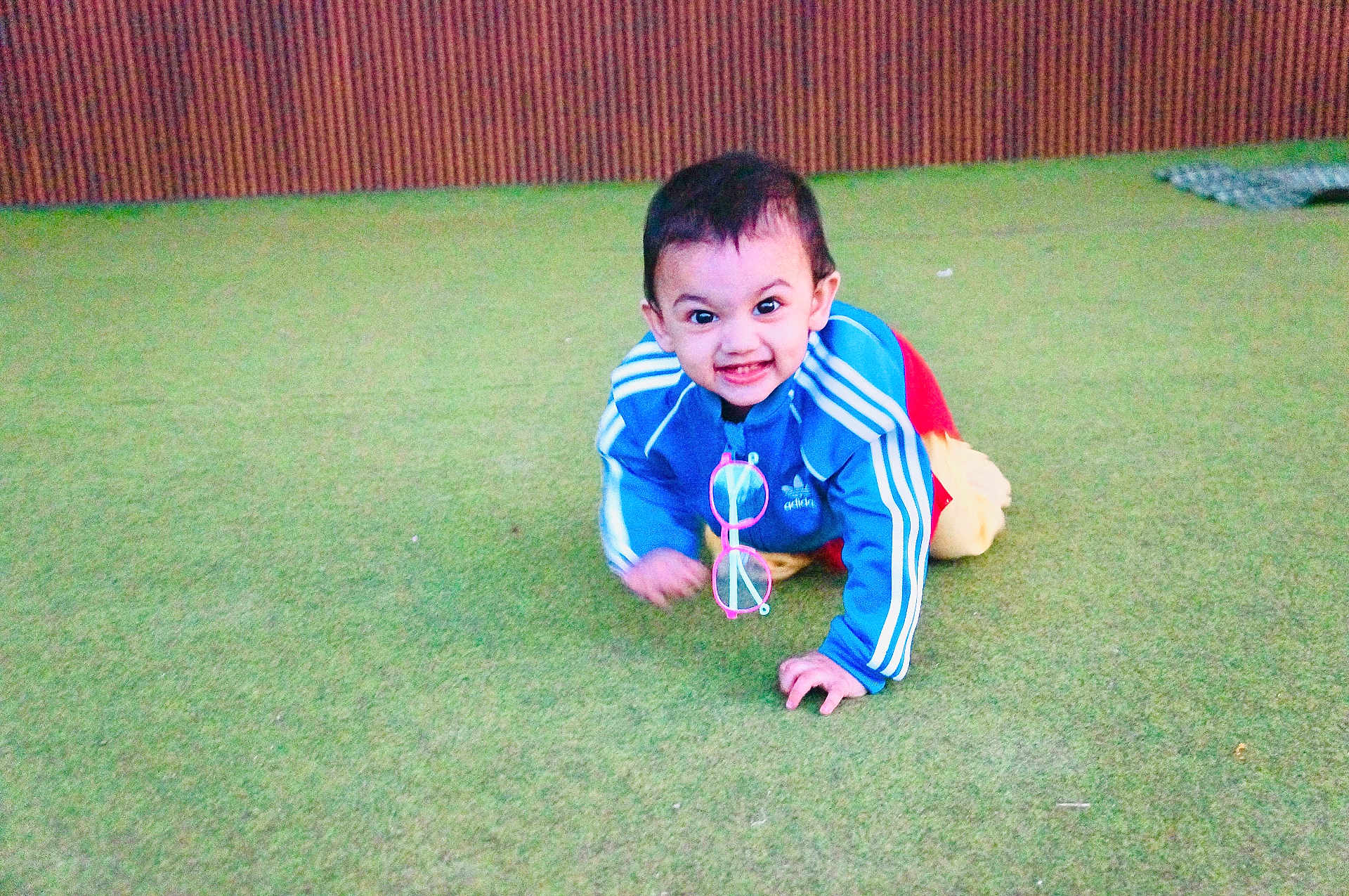 Arwa Musfirah joined the competition — help win amazing prizes! toddler, child, crawling, blue_jacket, adidas, glasses, pink_glasses, green_carpet, indoor, smiling, happy, playful, face, person, wooden_wall, young_child, casual_clothing, cheerful, fun, cute