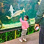 toddler, child, pink_hoodie, aquarium, fish, water, tank, adult, ticket, curious, pointing, indoor, casual_clothing, sneakers, floor, glass, greenery, pebbles, exhibit, public_space