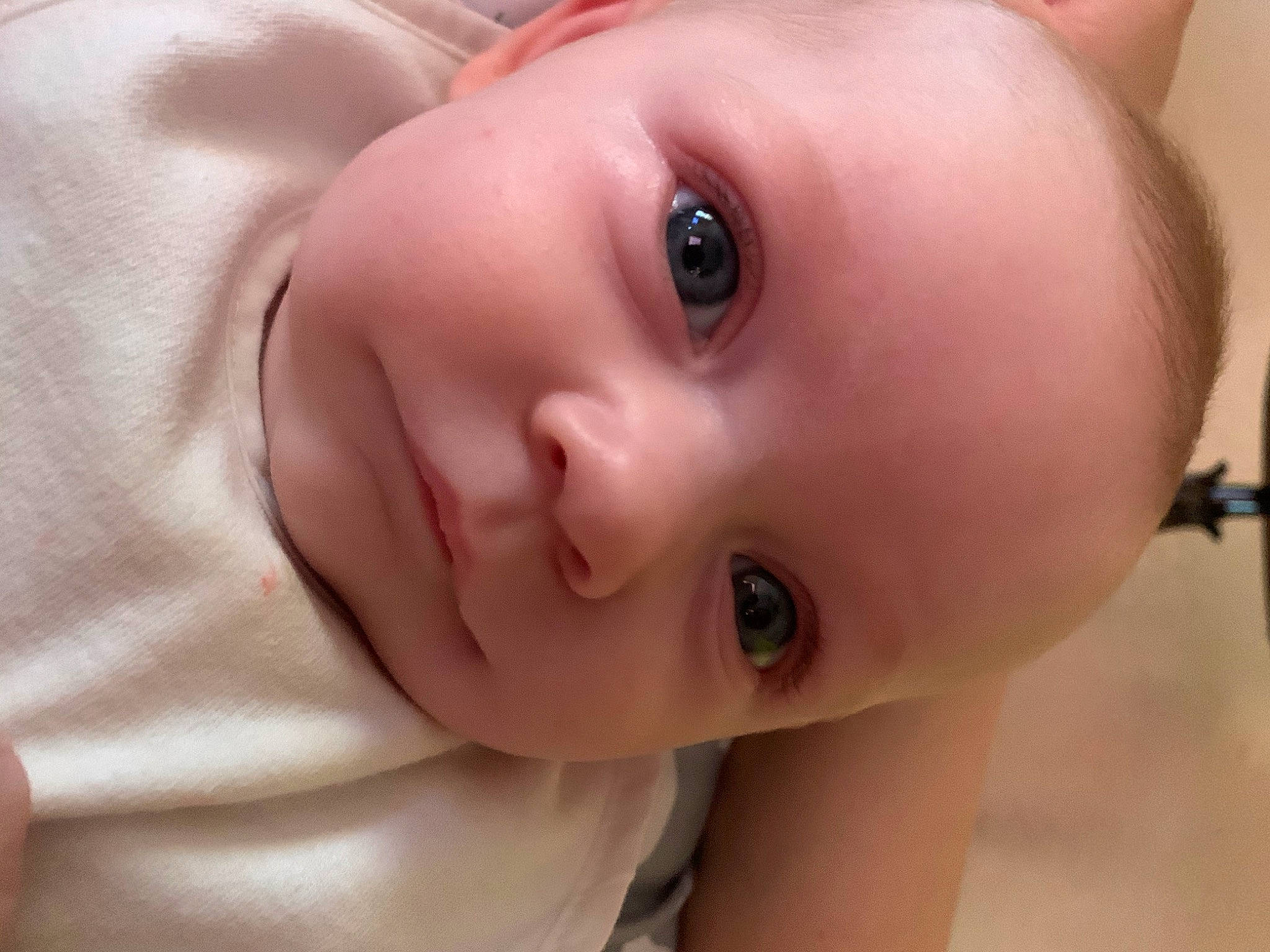 Indigo is registered to the contest to win money with this photo: baby, cheek, child, chin, close_up, ear, eye, eyebrow, eyelash, face, facial_expression, forehead, head, iris, lip, mouth, nose, organ, person, skin