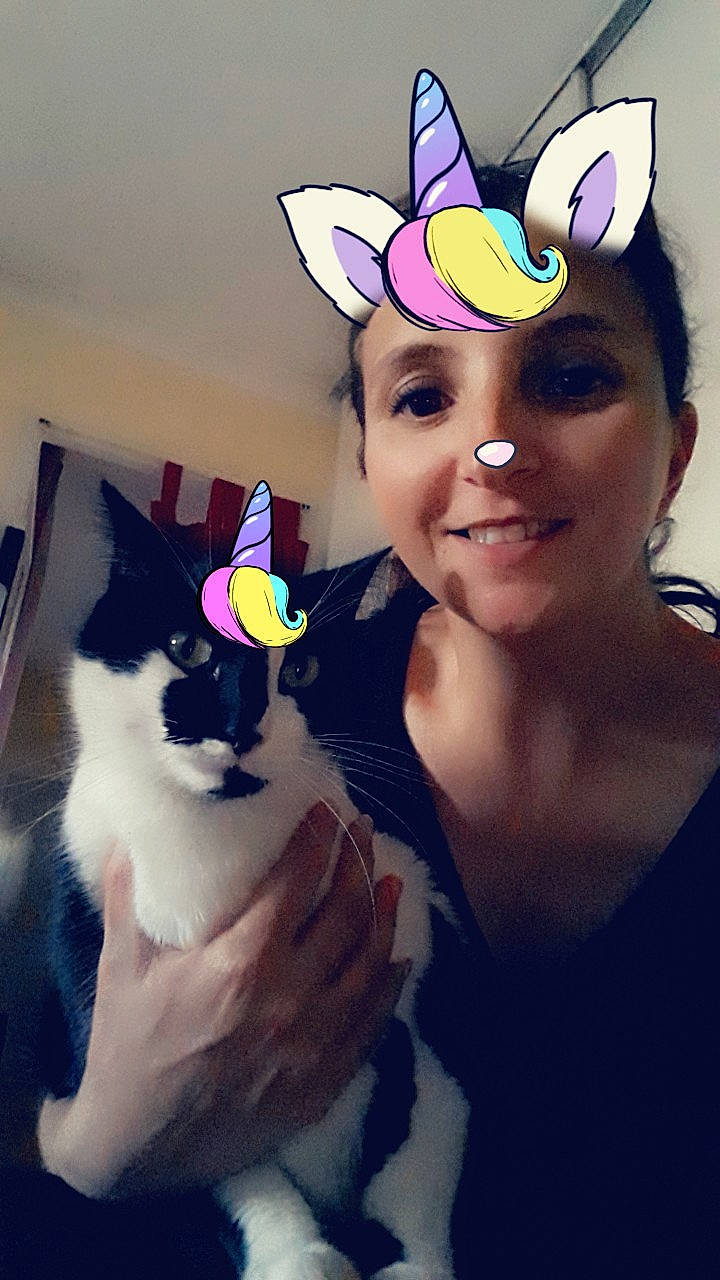 Crapouille a rejoint le concours — aidez-le/la à gagner de superbes lots ! cat, cool, costume, costume_hat, ear, fashion_accessory, felidae, fun, fur, hat, head, headgear, organ, party_hat, small_to_medium_sized_cats, smile, whiskers