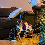 Niko Saki is registered to the contest to win money with this photo: cat, tabby_cat, leather_couch, pillow, wooden_floor, holiday_decorations, santa_doll, doll, christmas_tree, indoor, furniture, floor, pet, animal, christmas, decor, cozy, cute, festive, living_room