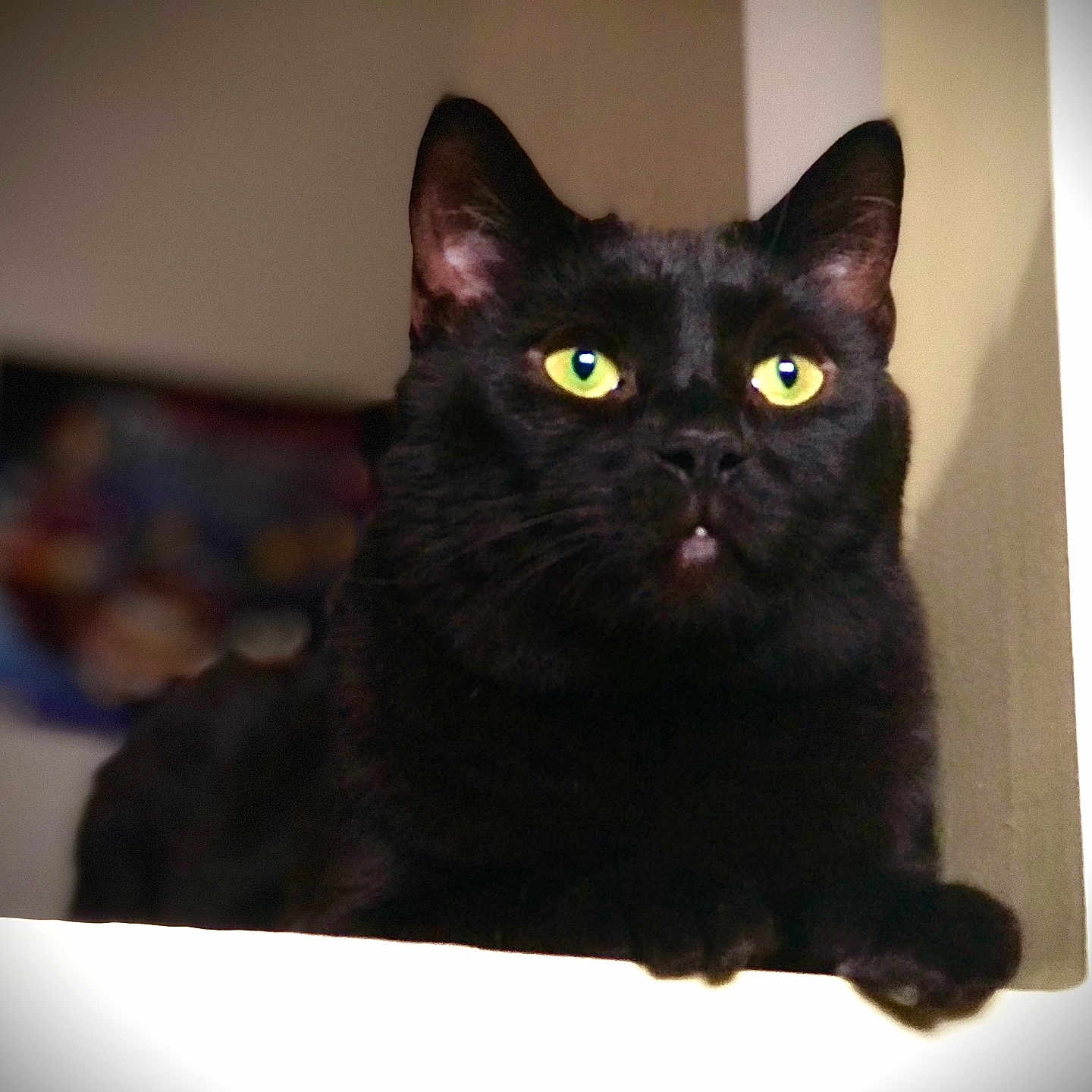 Salem