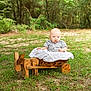Brayden joined the competition — help win amazing prizes! baby, child, wooden_cart, outdoor, grass, trees, greenery, shirt, blanket, nature, infant, sitting, toy_cart, daylight, cute, small, playful, wood, person, young