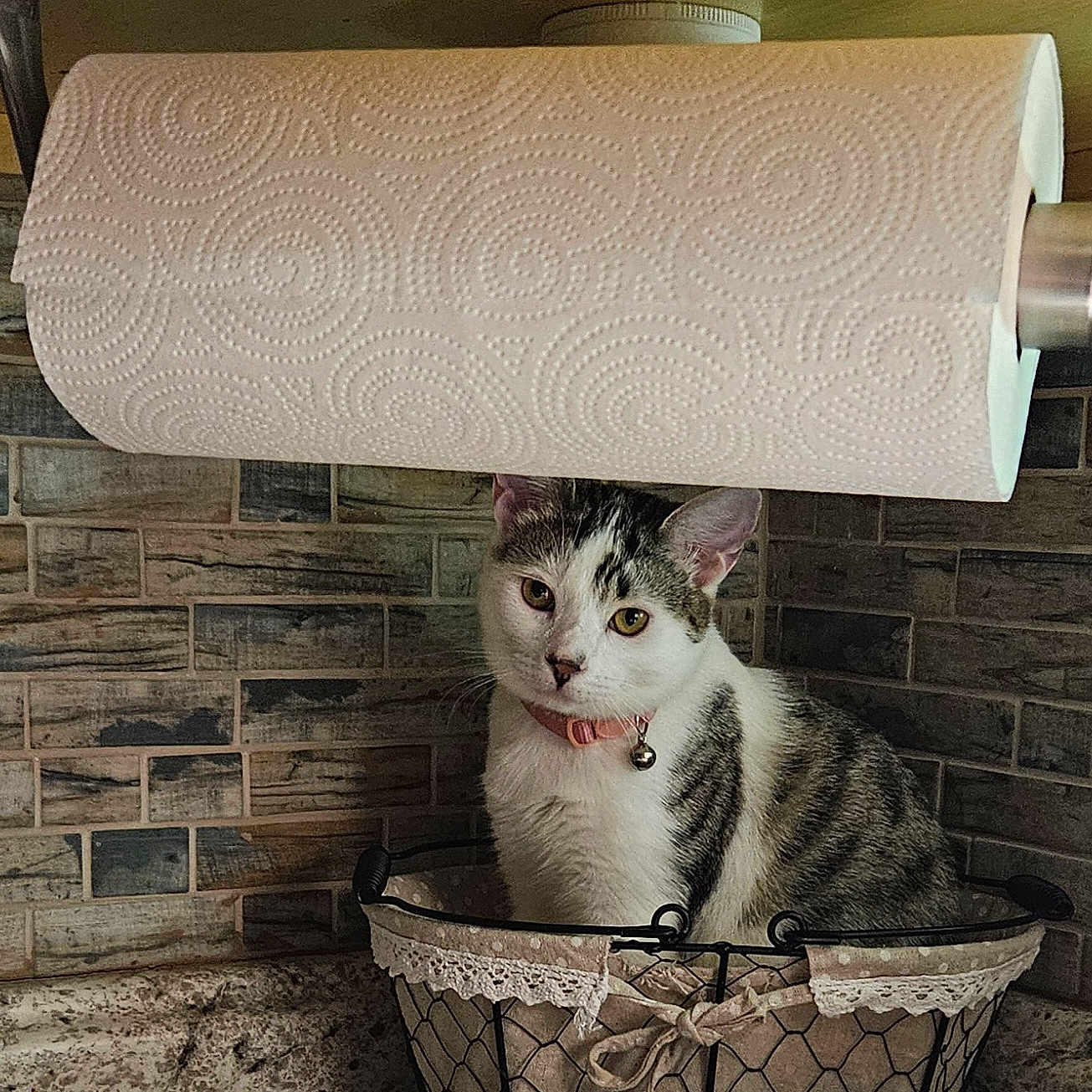 Molly