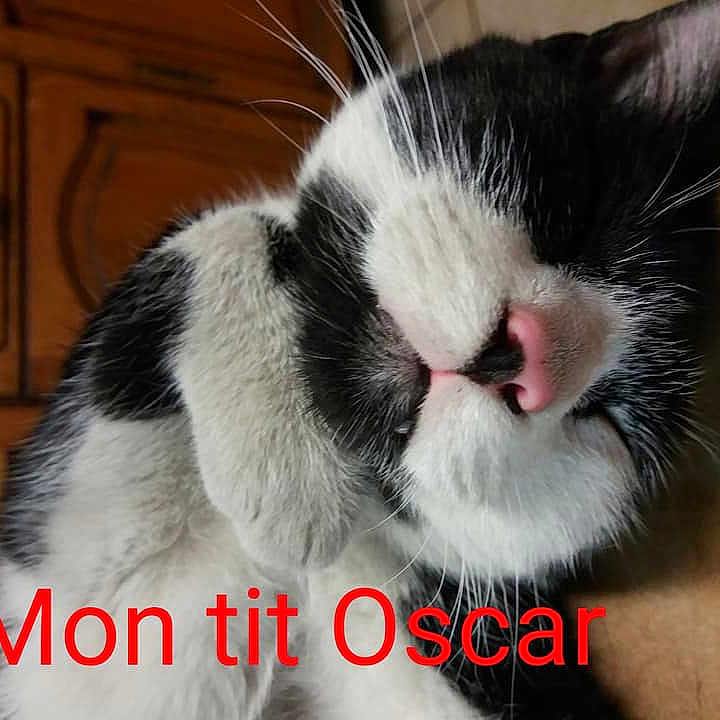 Oscar
