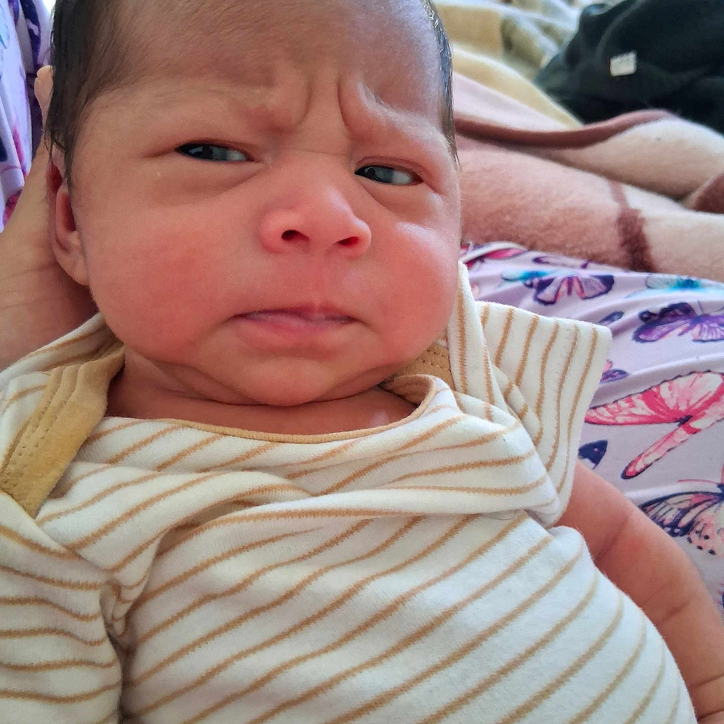 Natali joined the competition — help win amazing prizes! baby, blanket, clothing, cute, expression, fabric, face, furrowed_brow, hand, head, holding, indoor, infant, newborn, person, portrait, sitting, skin, soft, striped_onesie