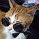Sir Tigger