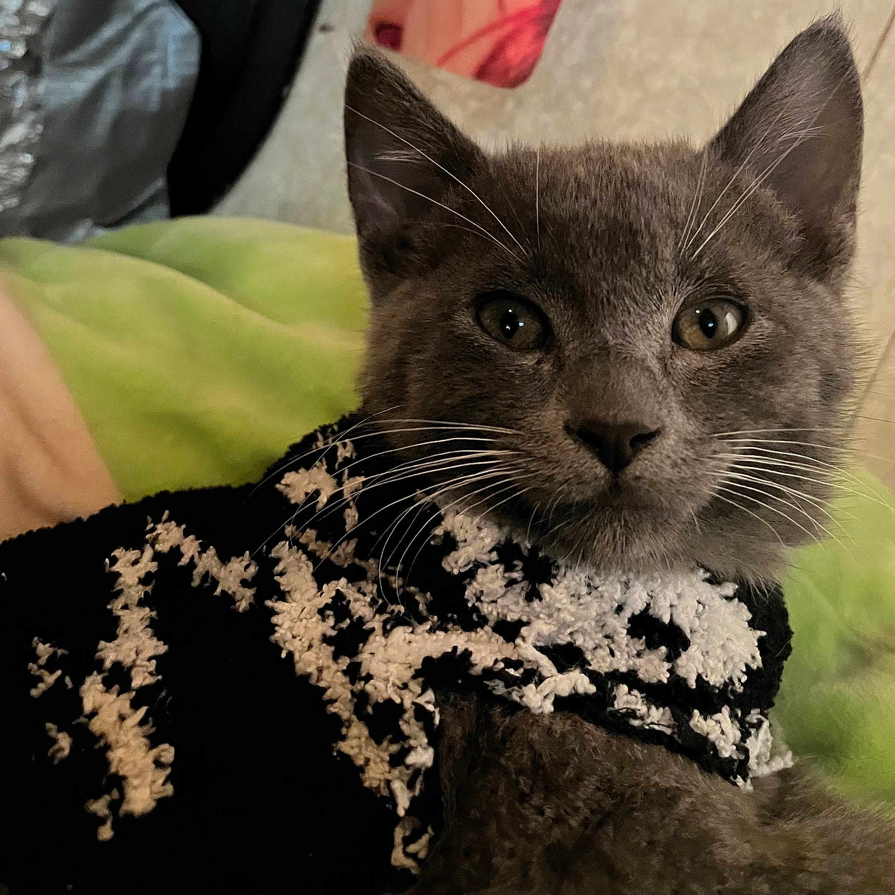 Winston