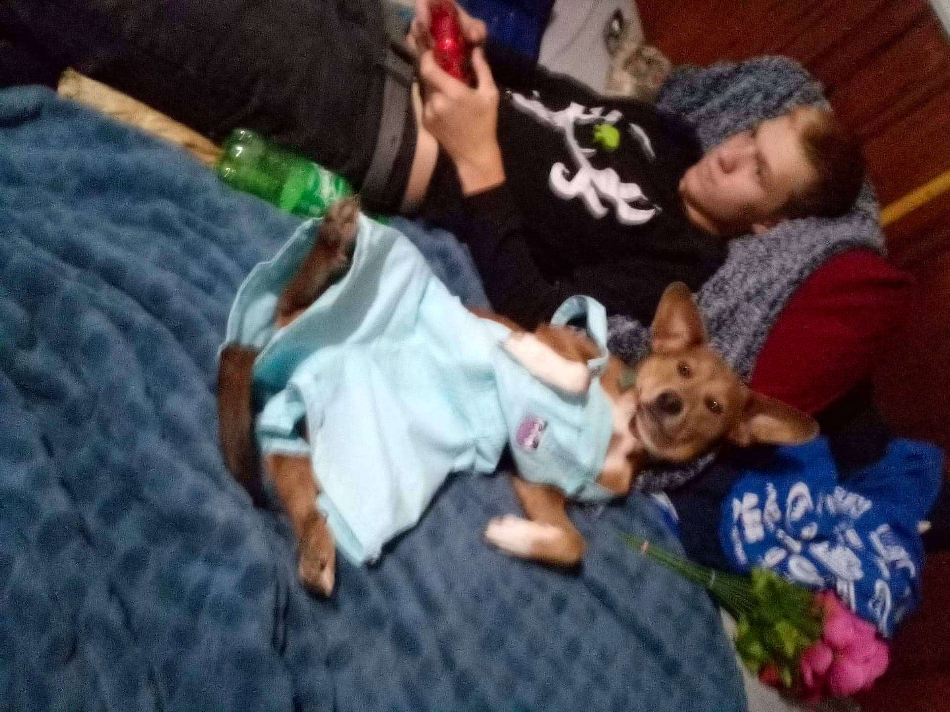 Daisy is registered to the contest to win money with this photo: canidae, carnivore, child, comfort, companion_dog, dog, dog_breed, dog_clothes, event, fun, fur, grass, holiday, lap, leisure, play, sitting, sporting_group, toy_dog, vacation