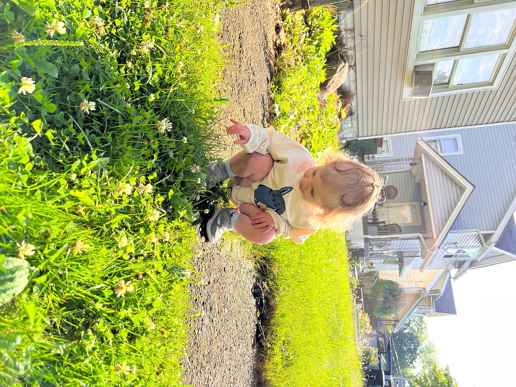 Alaska is registered to the contest to win money with this photo: backyard, facade, flower, fun, garden, grass, house, landscape, landscaping, leisure, people_in_nature, person, plant, recreation, shorts, shrub, toddler, tree, window, yard
