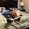 Sam is registered to the contest to win money with this photo: bed, man, dog, cat, bedroom, lamp, pillow, blanket, furniture, glasses, jeans, sneakers, plaid_shirt, wall_art, nightstand, resting, indoor, sleeping, pet, home