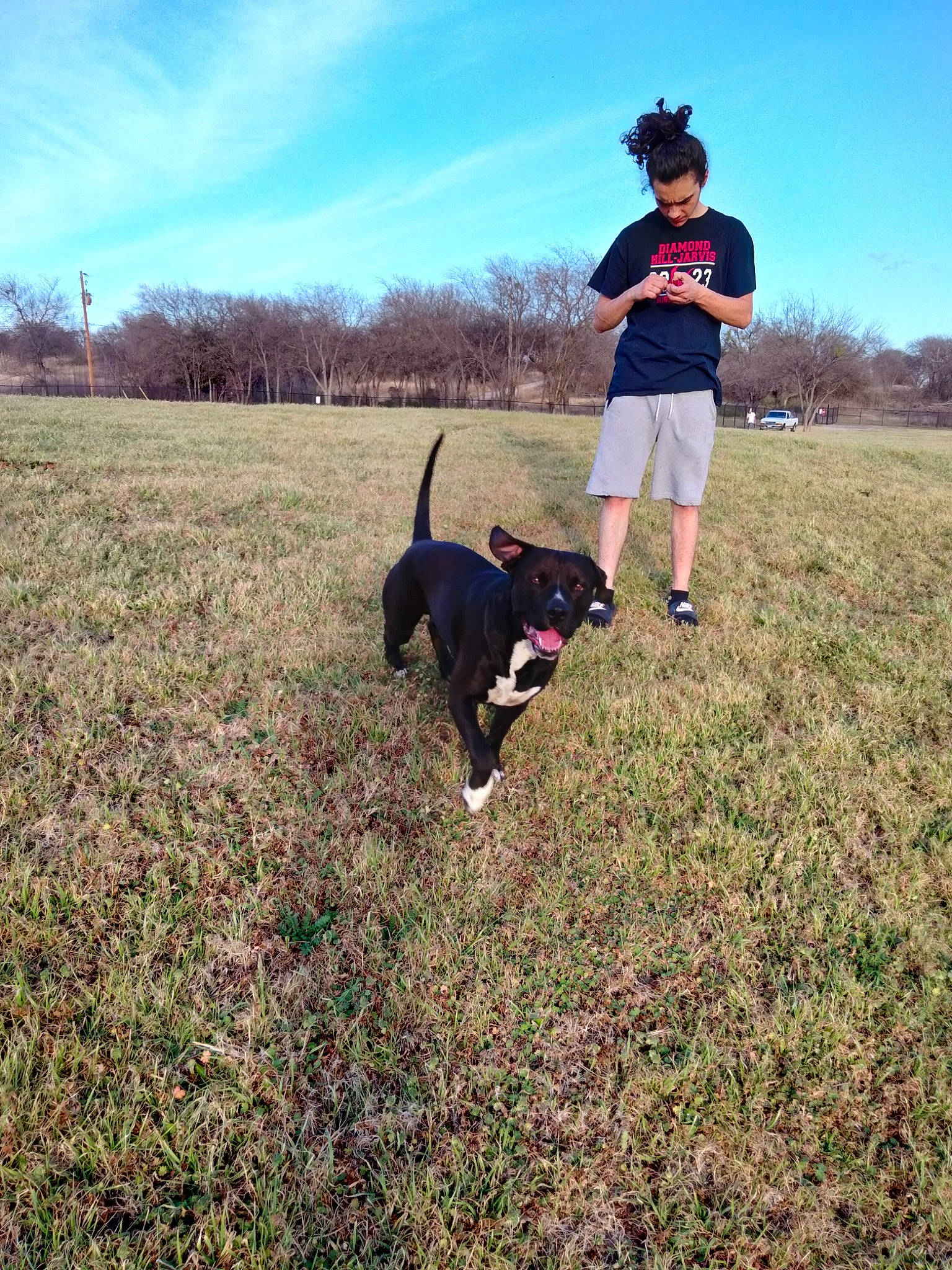 Blu joined the competition — help win amazing prizes! carnivore, cloud, companion_dog, dog, dog_breed, dog_walking, grass, grassland, landscape, leash, mammal, pasture, people_in_nature, plant, prairie, recreation, sky, soil, tree, walking