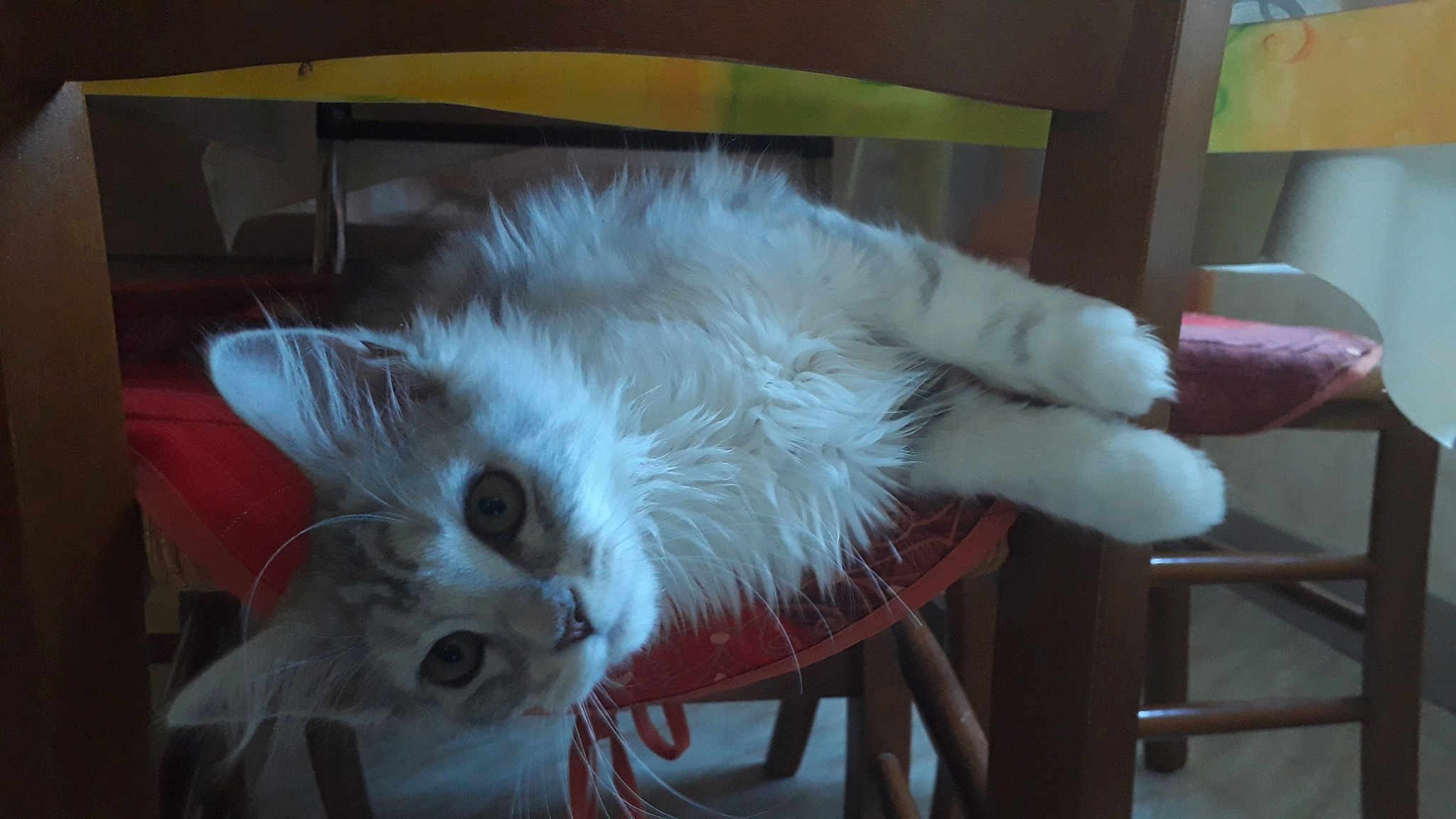 Poussière