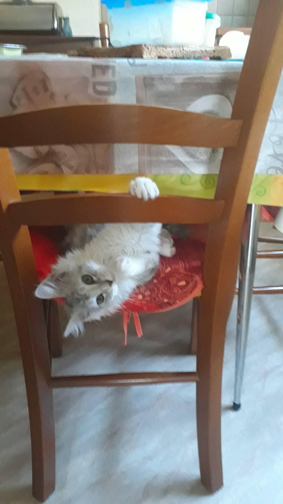 Poussière participe au concours pour gagner de l'argent avec cette photo : bed, chair, changing_table, fawn, furniture, room, table