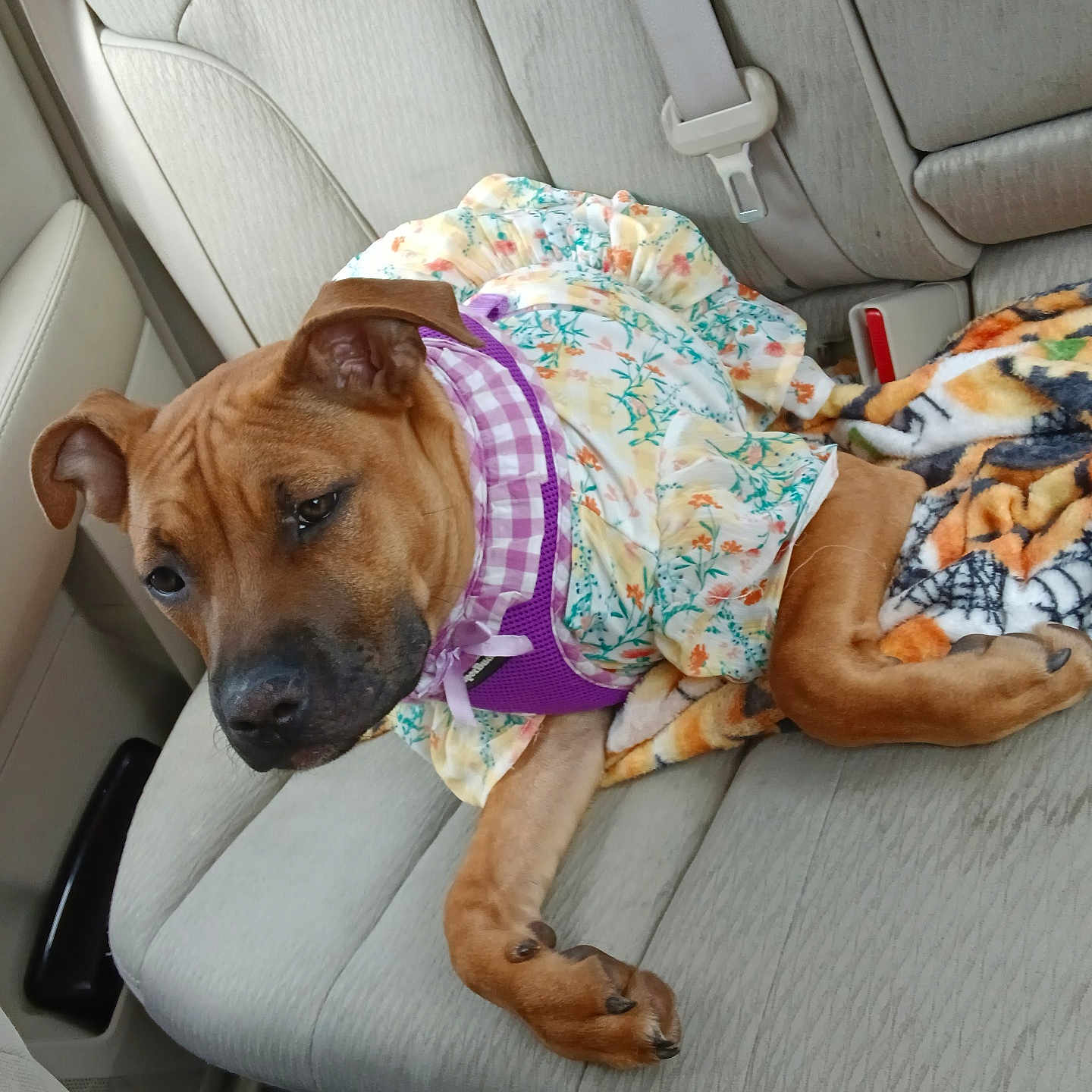 Quinzel Harley Muniz