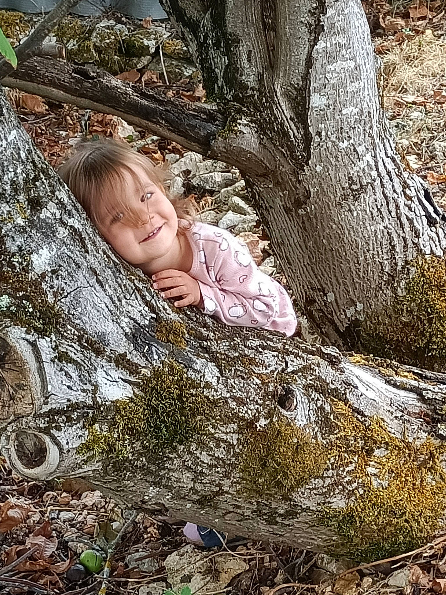 Abigaëlle participe au concours pour gagner de l'argent avec cette photo : baby, branch, flash_photography, forest, fun, grass, happy, joy, landscape, natural_landscape, people_in_nature, person, plant, portrait_photography, rock, smile, soil, toddler, trunk, twig