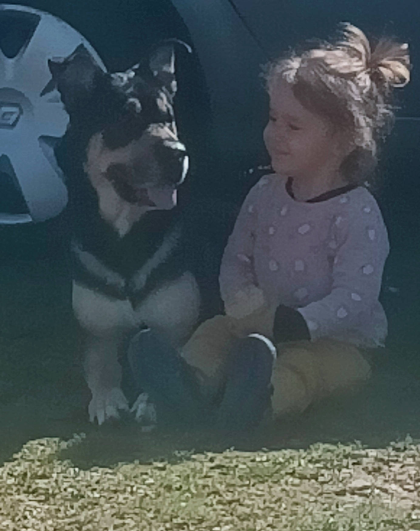 Abigaëlle a rejoint le concours — aidez-le/la à gagner de superbes lots ! art, canidae, carnivore, companion_dog, darkness, dog, dog_breed, eye, fictional_character, flash_photography, fun, head, illustration, monochrome, painting, person, shadow, tints_and_shades, toddler, vehicle_door