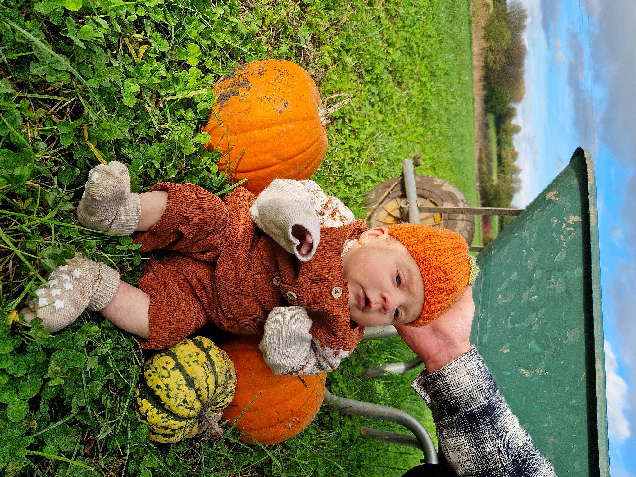 Ayda joined the competition — help win amazing prizes! ball, calabaza, cucurbita, gourd, grass, green, happy, hat, headwear, lawn, lawn_ornament, leaf, leisure, natural_foods, orange, person, plant, pumpkin, squash, toy