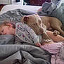 child, toddler, sleeping, dog, bed, blanket, indoor, nap, cozy, pet, animal, rest, cute, comfort, home, furniture, pajamas, friendship, relaxation, companion
