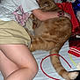bed, cat, charging_cable, child, comfort, cozy, cute, feline, hugging, indoor, orange_tabby, patterned_wall, person, resting, skirt, sleeping, stuffed_animal, tail, tattoo, tshirt