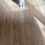 Stuart a rejoint le concours — aidez-le/la à gagner de superbes lots ! cat, indoor, wooden_floor, shadow, sunlight, collar, pet, animal, gray, white, striped, curious, standing, flooring, domestic, feline, home, light, pattern, toy