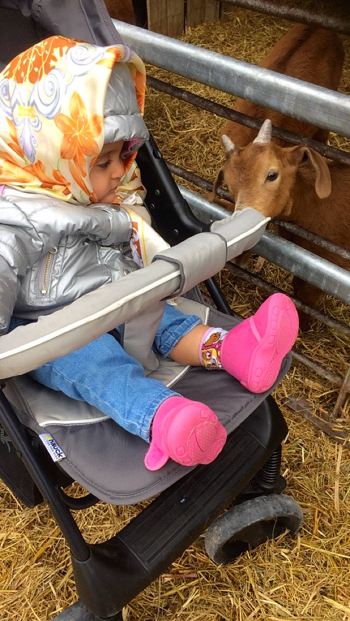 Anna participe au concours pour gagner de l'argent avec cette photo : child, fawn, leg, person, sitting, toddler