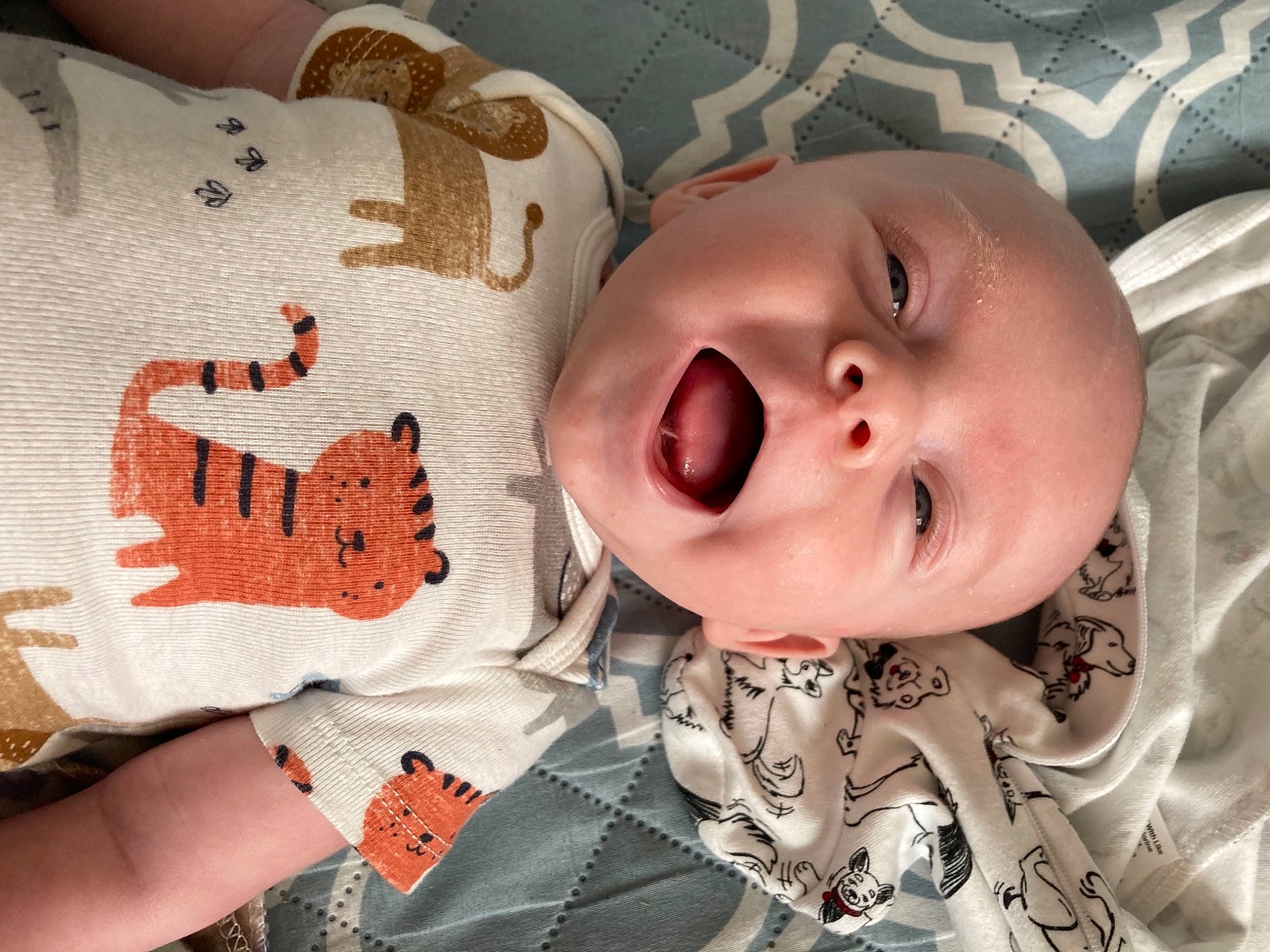 Levi joined the competition — help win amazing prizes! baby, baby_toddler_clothing, cheek, chin, collar, comfort, eye, face, head, human, iris, lip, mammal, mouth, nose, person, product, skin, sleeve, smile
