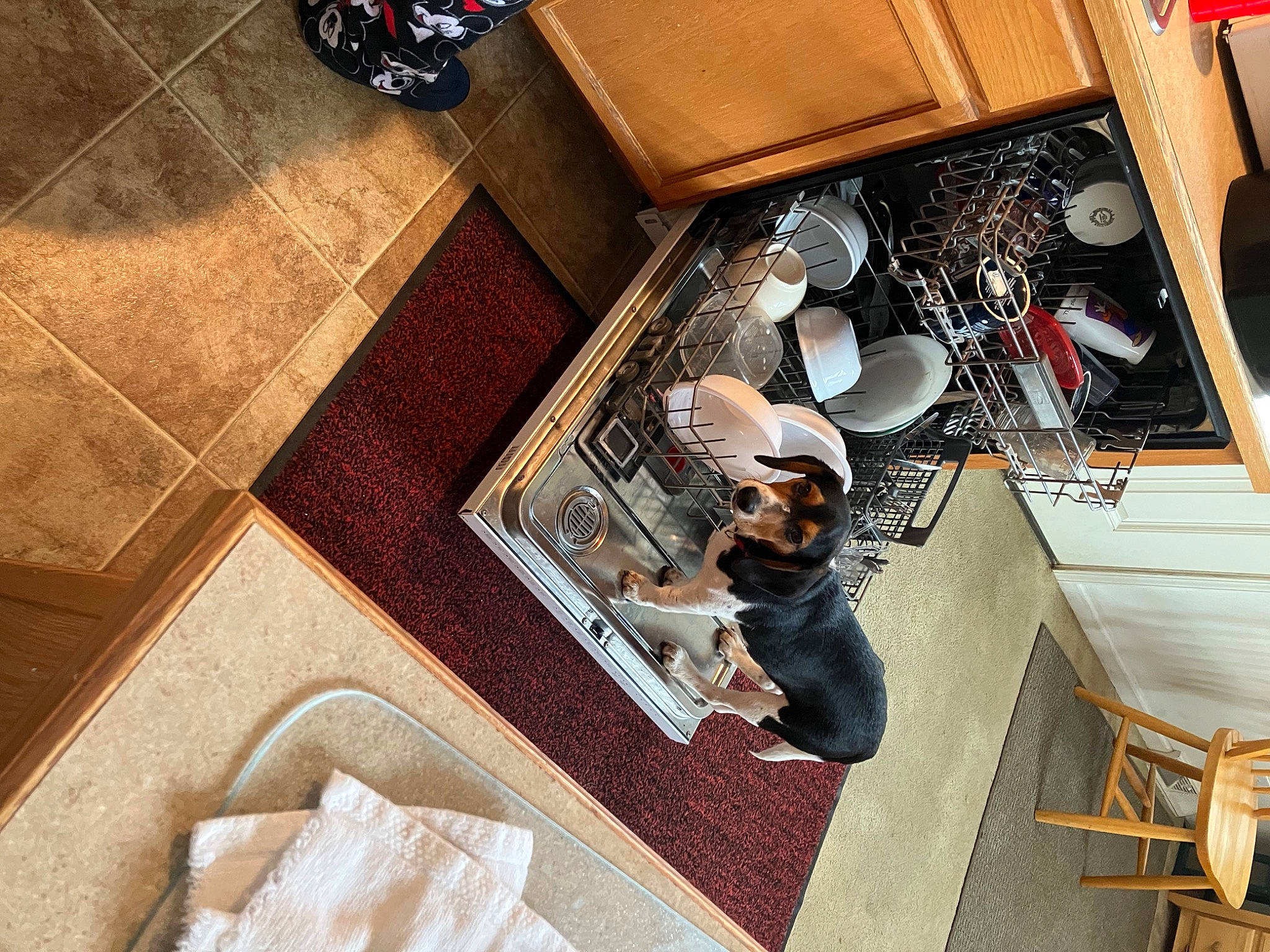 Garrett joined the competition — help win amazing prizes! art, automotive_design, black, brown, eyewear, floor, flooring, font, hardwood, interior_design, material_property, metal, pattern, recreation, rectangle, room, tile, visual_arts, wood, wood_flooring